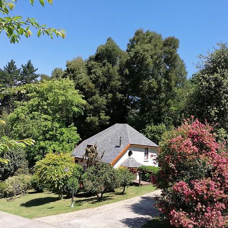 Hogsback Arminel Hotel Extérieur photo