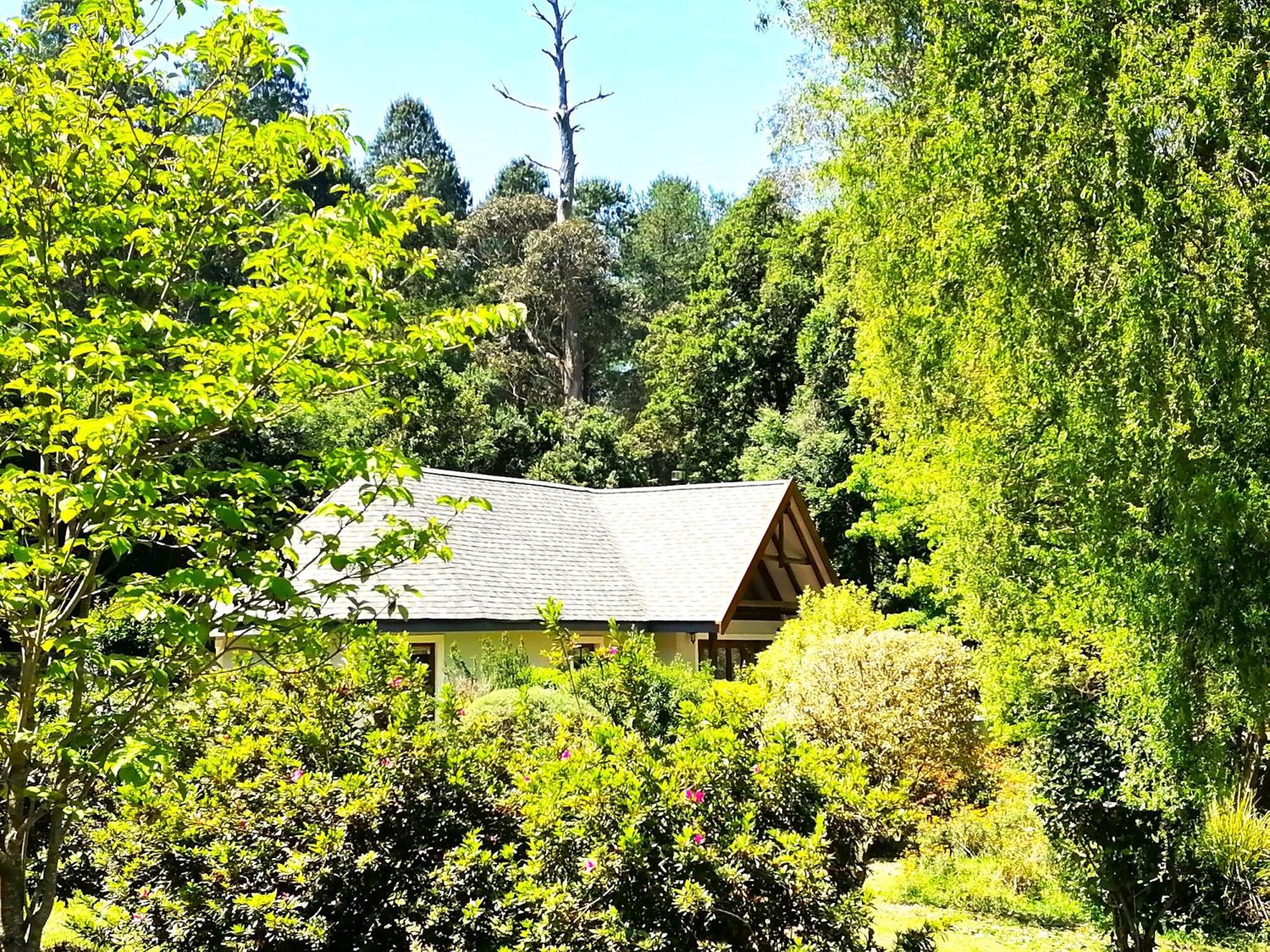 Hogsback Arminel Hotel Extérieur photo