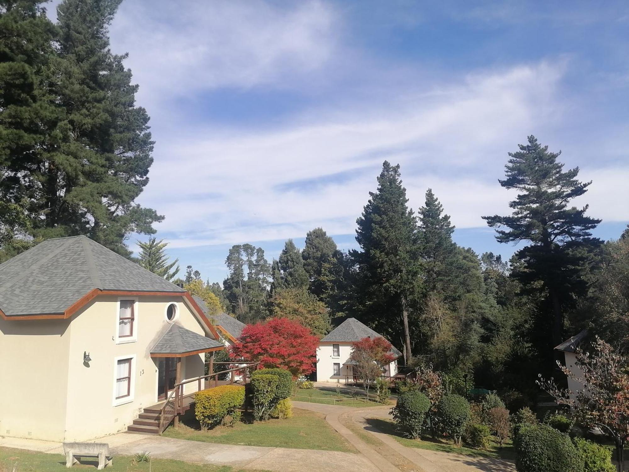 Hogsback Arminel Hotel Extérieur photo