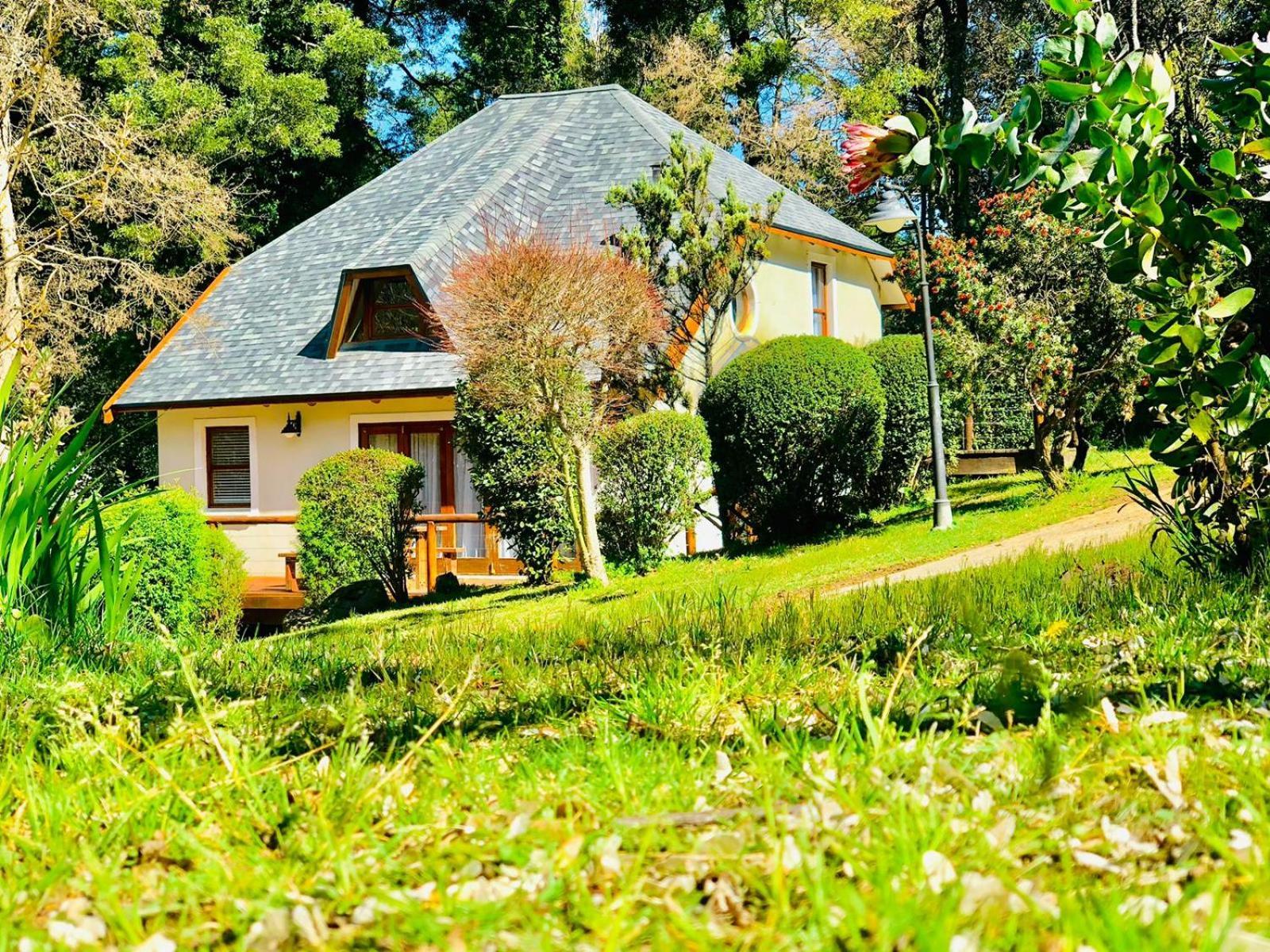 Hogsback Arminel Hotel Extérieur photo